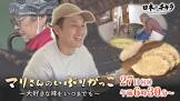倉田政嗣