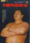 若乃花幹士 (初代)