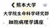 武内忠男