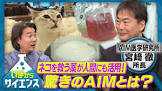 若杉亨