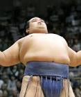 琴奨菊和弘