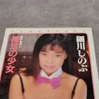 細川しのぶ