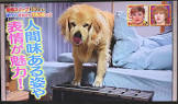 びすけ物語