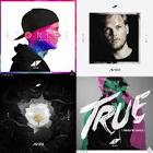 アヴィーチー (Avicii)