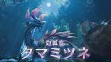 タマミツネ