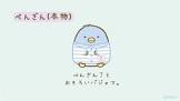 ぺんぎん（本物）