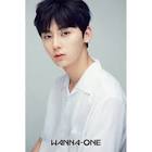 Wanna One