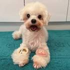 すあだちゃんねる