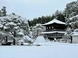 野口泰雪