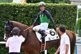 酒井学 (競馬)