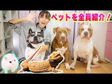 りくChannel