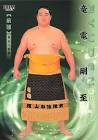 竜電剛至