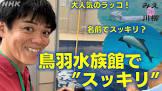 望月豊