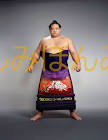 琴富士孝也