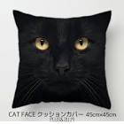 くろねこ