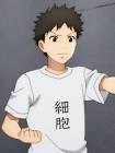 一般細胞 (はたらく細胞)