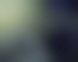 トリーネ・ハルデン