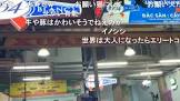 シンジ (co5838760)