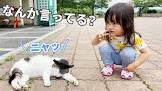 シスクとねこむす