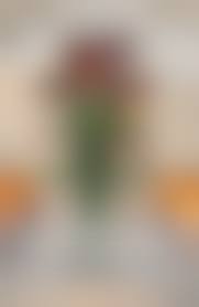 Korea female soldier hentai|prison for servicewoman CG 001【Korea】 - Page 5 - IMHentai