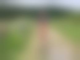 野外全裸妻|野外露出が大好きな美人妻！！！！もはや芸術ｗｗｗｗｗ | 素人エロ画像やったる夫