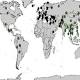 South Asians may have descended from Denisovans 