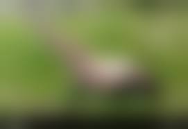 sport woman  nude|Sensual Naked Sport Body Girl Nude Sexy Beautiful Young Woman — Stock Photo  © EugenePartyzan #224331470