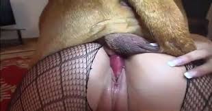 Kitty and tina with dog zoo porn sex with dog and girl zoosex zoo porn dog sex zoophilia jpg x Dog xxx girl