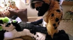 Straight fursuit compilation jpg x Straight fursuit