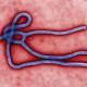 Ebola death toll passes 1900 Ã¢â‚¬â€œ WHO