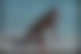 bourboulon laika nude|希少》JACQUES BOURBOULON ジャック・ブールブーロン収録雑誌☆1987年発行－Funbid香港本地日本代購網站