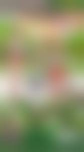  comics sexy butt pussy nude|MyDoujinShop - Sexy Teen Lifts Her Skirt For Anal Sex ~ Miyamoto Issa  Hentai Comic - XVIDEOS.COM