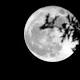 Why Trump might send humans back to the moon 