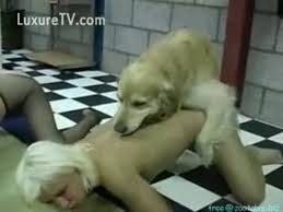 Year old blonde and her dog fucking intensely jpg x Blonde fucks dog