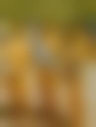 jr miss contest nude