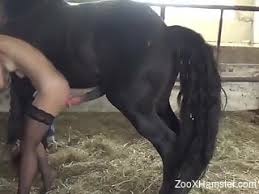 Gay animal sex with a doggo free bestiality and animal porn jpg x Sex with animal