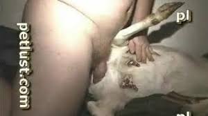 Man fucking a goat porn videos letmejerk jpg x Man fucks goat