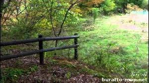 waldo 3d incest|iframeRender | CMEMS