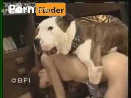 Blonde fucks dog jpg x Blonde fucks dog