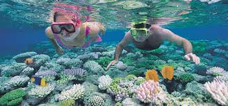A Grande Barreira de Corais, Queensland