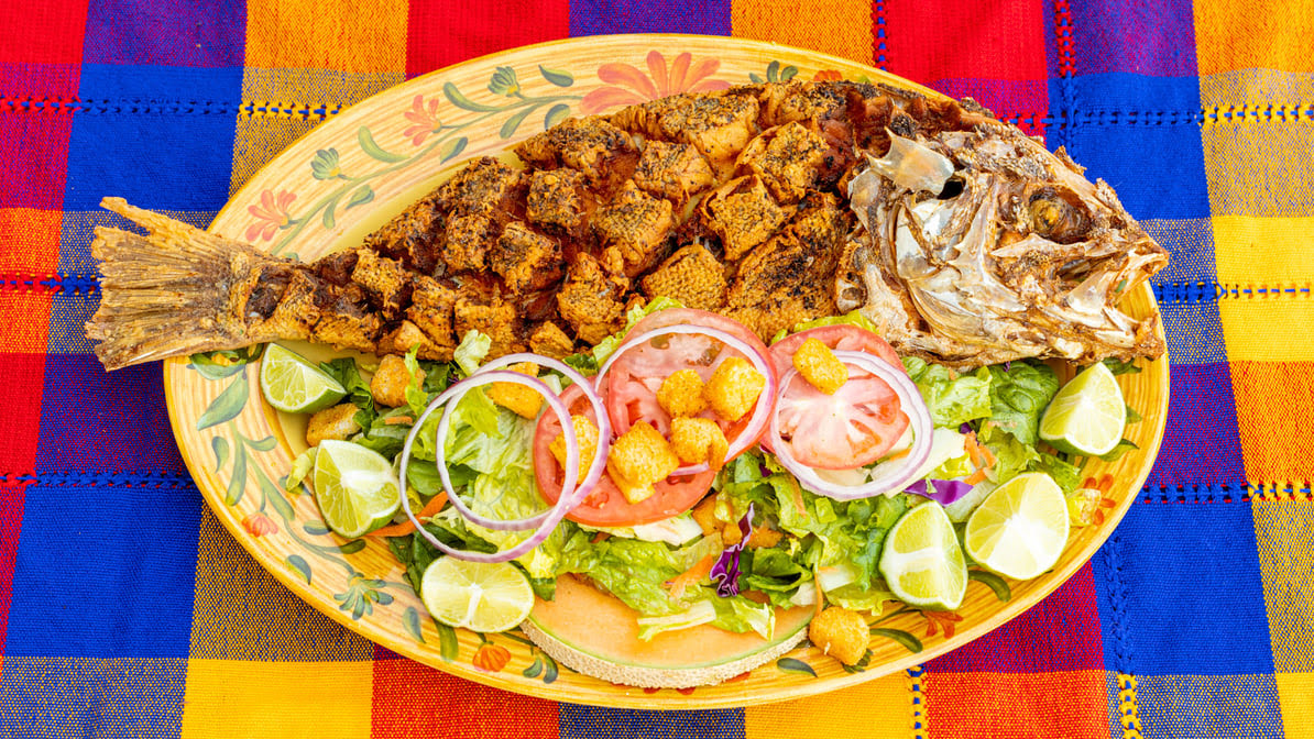 El Agavero Restaurant & Tequila Bar by null