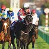 “アンカツ”安藤勝己さん、ジャパンカップ3強を評価 2着 ...