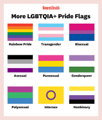 Lesbian wikipedia jpg x Lesbian flag colors