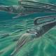 Antarctic fossils reveal creatures weren't safer in the south 