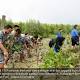 Cegah Abrasi, Prajurit TNI AL Gandeng Warga Tanam Mangrove - JPNN.com (Siaran Pers)