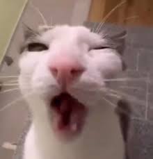 Маша Бабко CUM|Влад Кобяков зажег огни на матче Динамо в Минске! | TikTok