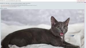 imgsr ru naked girl |80+ Azov Boys Stock Photos, Pictures & Royalty-Free Images - iStock