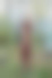 Голые трупы|На ступенях храма в Ивановской области найден труп голого человека |  Новости города Иваново и Ивановской области