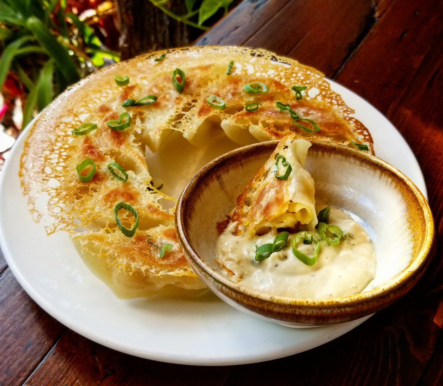 Pinwheel Garden Dumpling and Noodle Bar by null