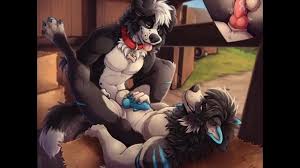 Trading gay furry yiff in also extra points if it transformation porn jerkbudshentai jpg x Furry yiff